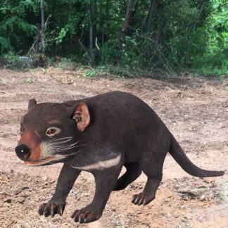 Tasmanian Devil Statue