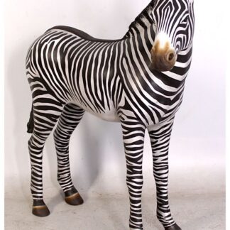 Zebra Foal Statue