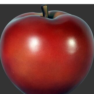 Oversized Red Delicious Apple Food Prop