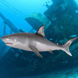 Wall Mounted Great White Shark Statue Prop