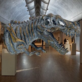Bones the T-Rex