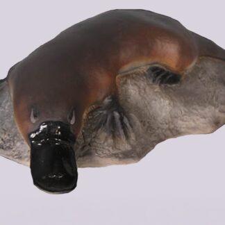Platypus on Rock statue