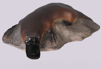 Platypus on Rock statue