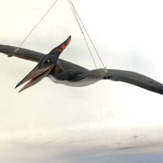 Baby Pteranodon Statue