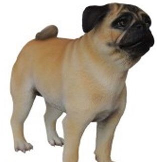 Life Size Pug Dog Statue