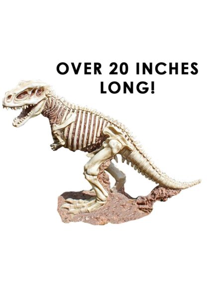 Tabletop Skeleton Tyrannosaurus Fossil Statue