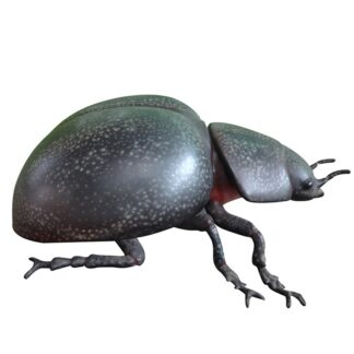 Over Sized Beetle Garden Statue