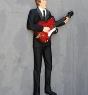 Combo Acoustic Guitarist