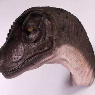 Allosaurus Head Wall Mount