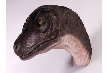 Allosaurus Head Wall Mount
