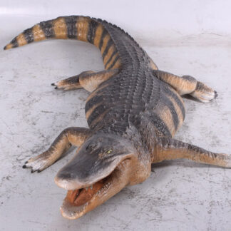 American Alligator Statue