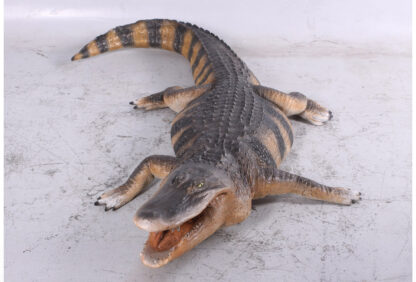 American Alligator Statue
