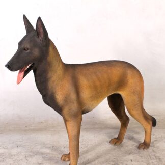 Belgian Malinois Statue