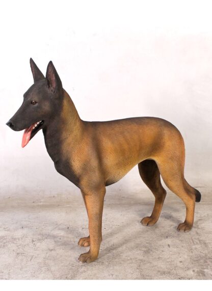 Belgian Malinois Statue