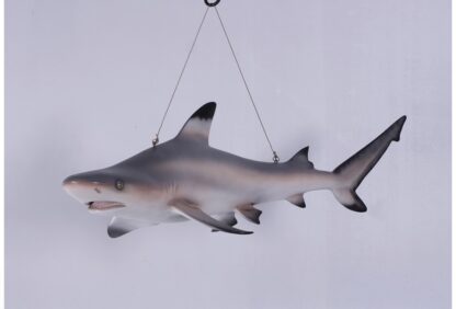 Black Tip Shark Statue Sea Creature Props