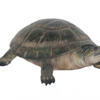Blanding's Turtle Statue