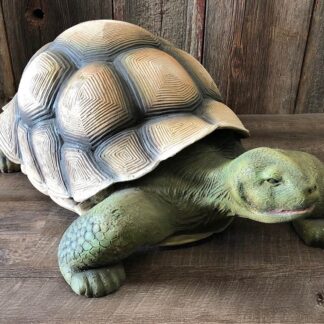 Box Turtle Statue