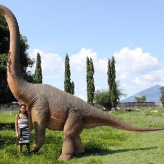 Brachiosaurus 15.5 Ft. Life Size Dinosaur Prop Fiberglass Statue