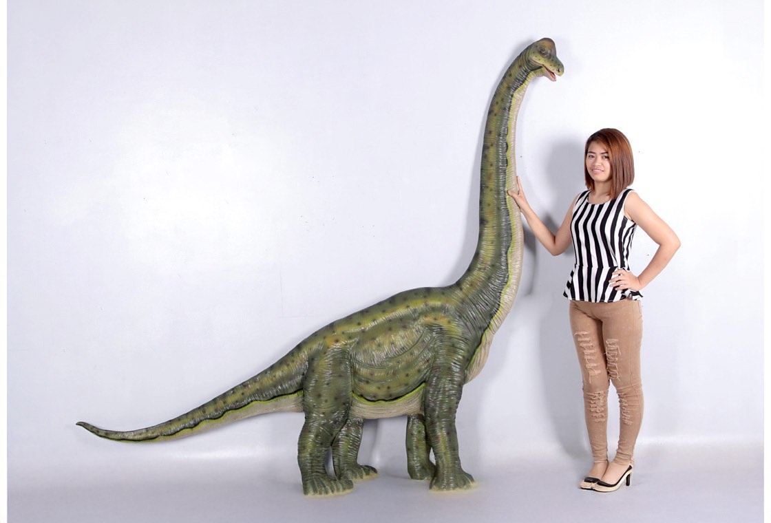 Brachiosaurus Wall Mount