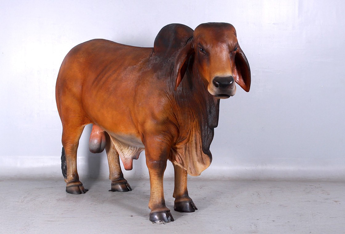 Brahman Bull Statue - Brown