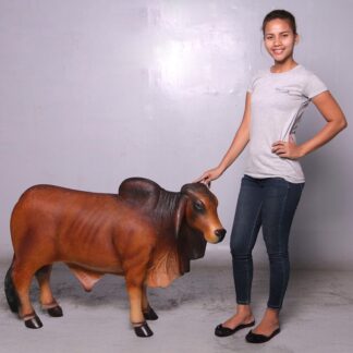 Brahman Bull - Brown (SM)