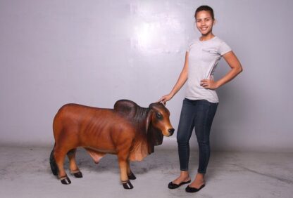 Brahman Bull - Brown (SM)