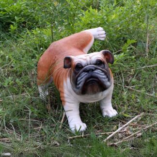 Peeing Bulldog Statue