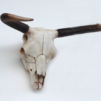 Bull Skull Wall Mount