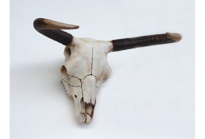 Bull Skull Wall Mount