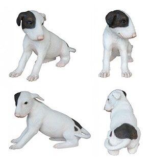 Bull Terrier Dog Puppy