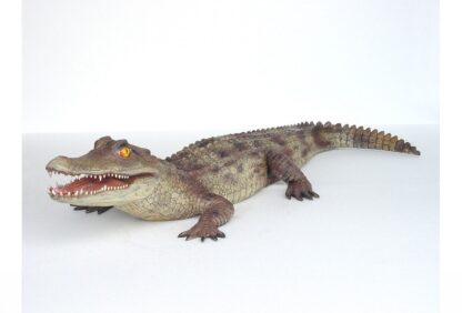 Caiman Alligator Statue - 6.5 Ft Long