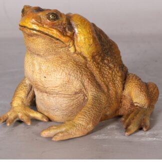 Cane Toad Statue