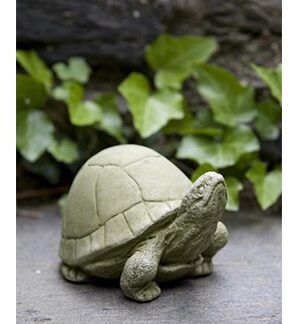 Cast Stone Box Turtle