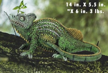 Veiled Chameleon