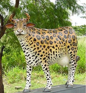 Cheetah Cow (with or without Horns)