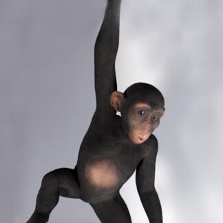 Hanging Monkey Statue