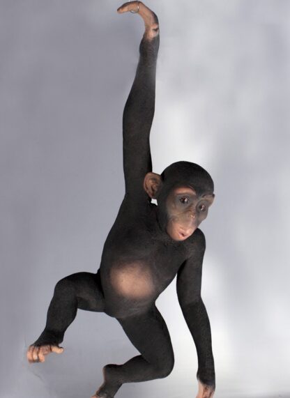 Hanging Monkey Statue