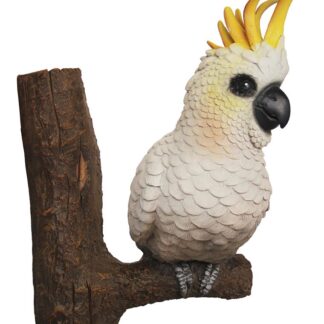 Cockatoo On Branch Statue