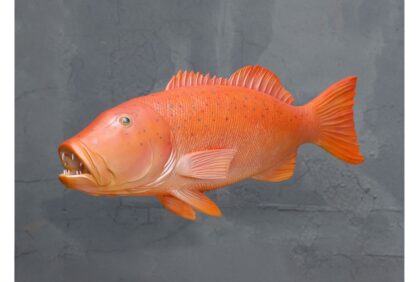 Coral Trout Fish Wall Hanging