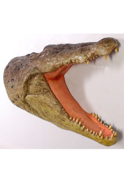 Crocodile Head Wall Plaque
