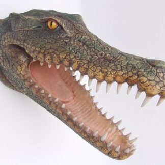 Crocodile Head Wall Mount
