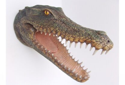 Crocodile Head Wall Mount