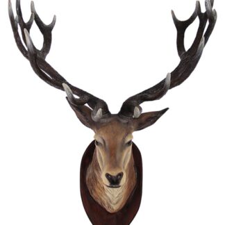 Deer Head Wall Mount