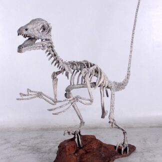 Deinonychus Skeleton Statue