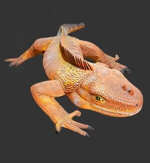 Iguana - 3 Ft Long