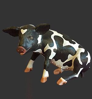 Black and White Pig Sitting