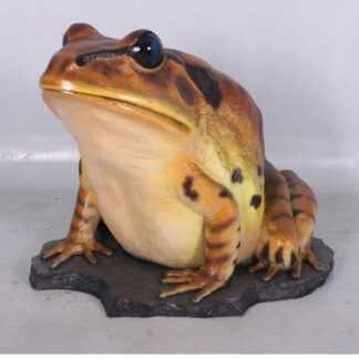 Great Barred Frog Statue