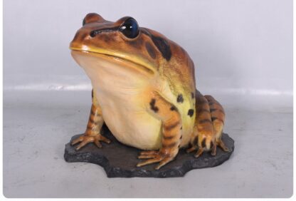 Great Barred Frog Statue