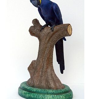 Hyacinth Macaw 3 ft.