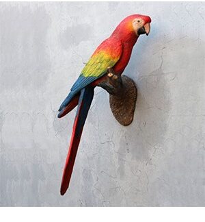 Parrot on Tree Branch